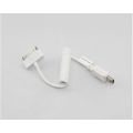    Apple 30pin SD369T