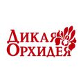 Дикая Орхидея Дикая Орхидея