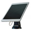        Protex Pivot LockDown